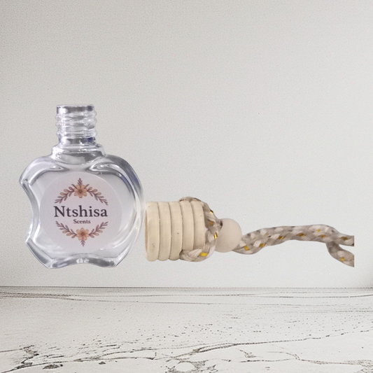 Car hanging diffuser